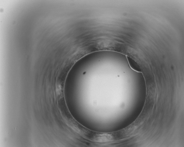 X0000088600087200706011213