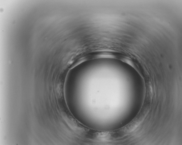 X0000088600088200706011213