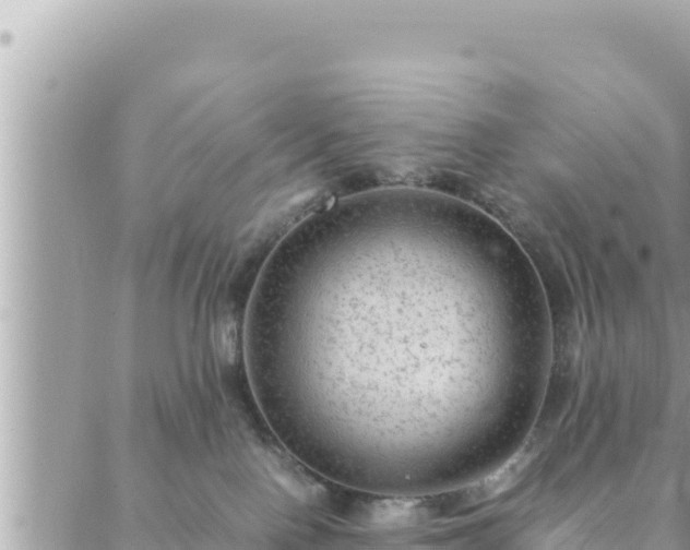 X0000088600090200706011213