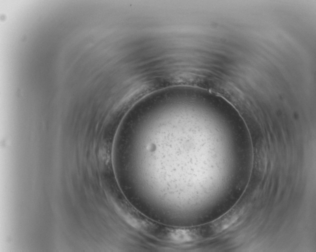 X0000088600091200706011213