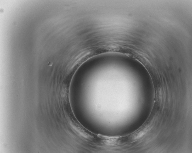 X0000088600092200706011213