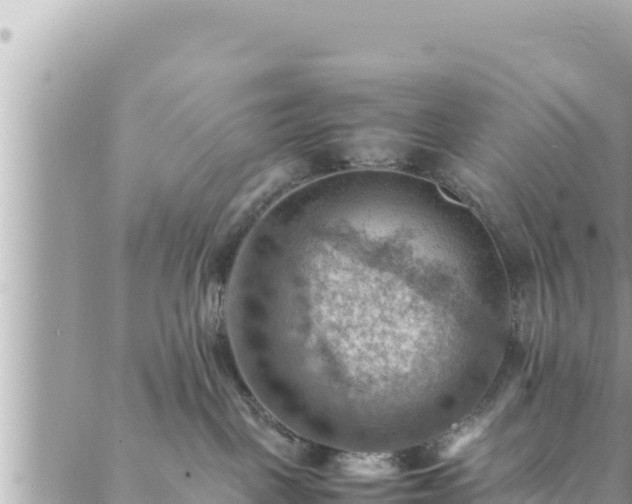 X0000088600093200706011213