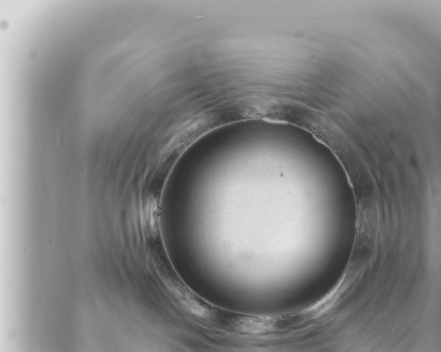 X0000088600094200706011213