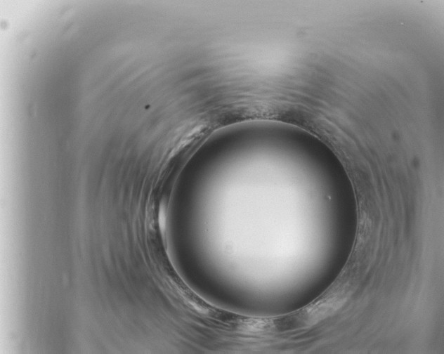 X0000088600096200706011213