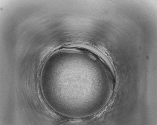 X0000088600097200706011213