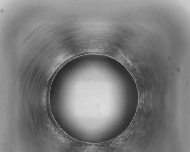 X0000088600098200706011213