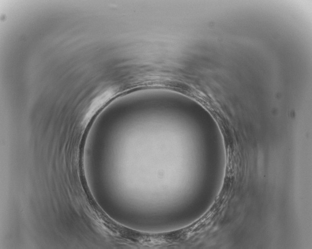 X0000088600099200706011212