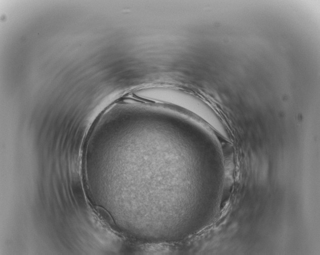 X0000088600100200706011212