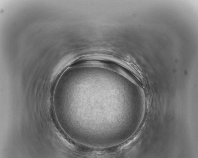 X0000088600101200706011212