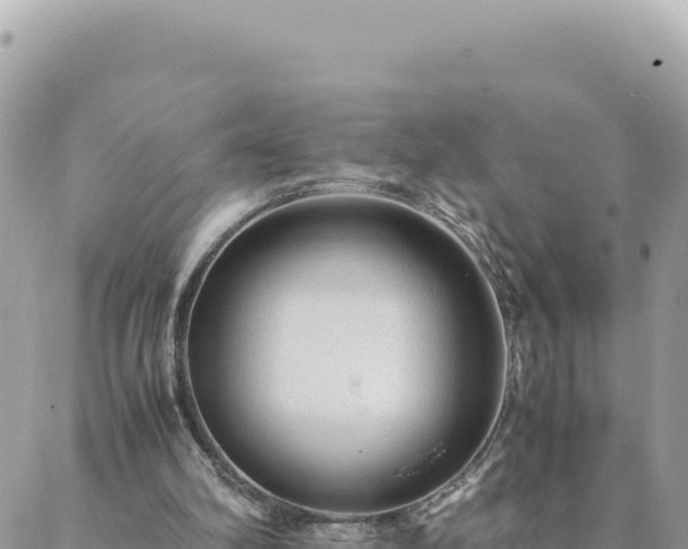 X0000088600102200706011212