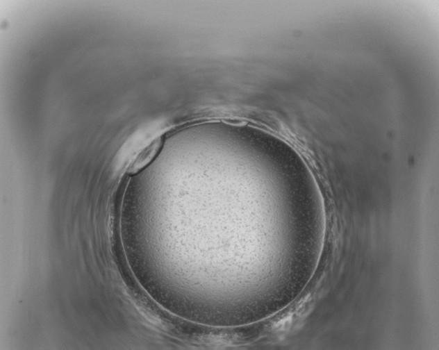 X0000088600103200706011212