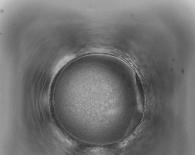 X0000088600104200706011212