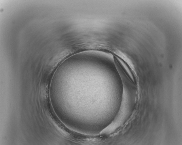 X0000088600105200706011212