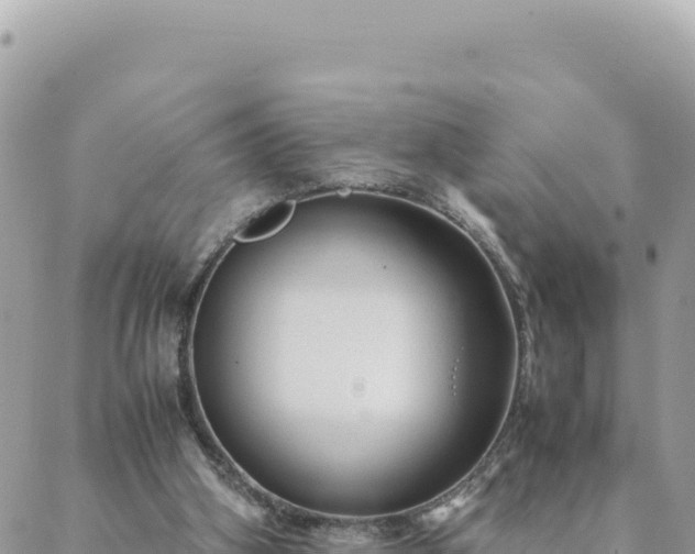 X0000088600106200706011212