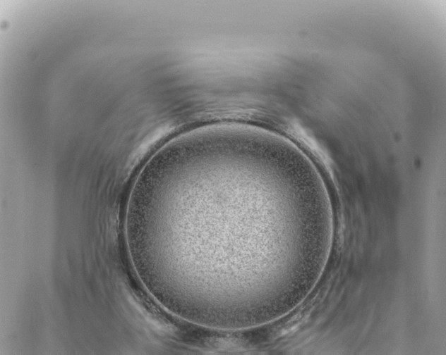 X0000088600107200706011212