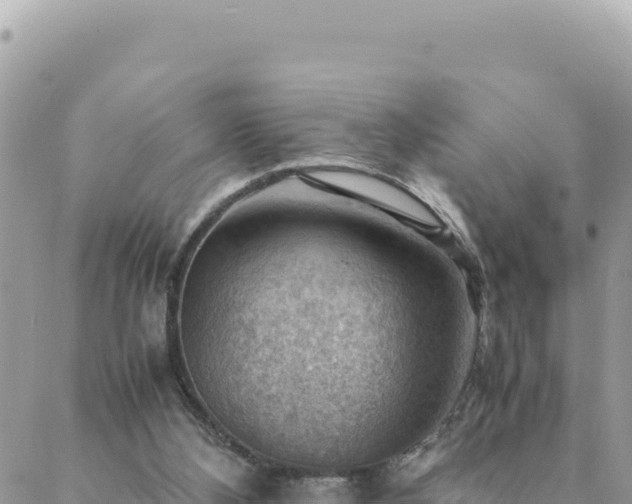 X0000088600108200706011212