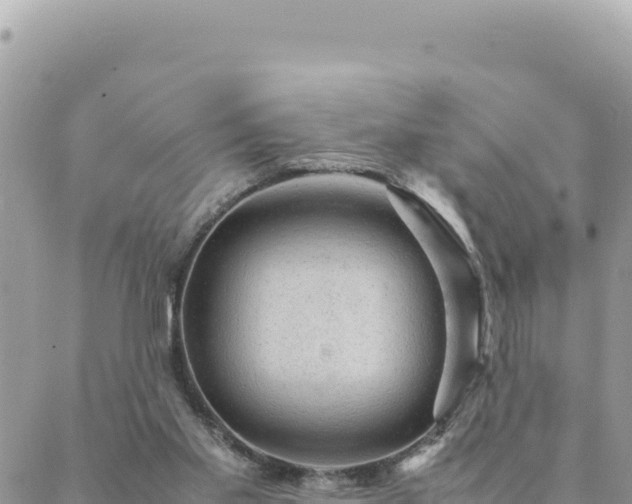 X0000088600109200706011212