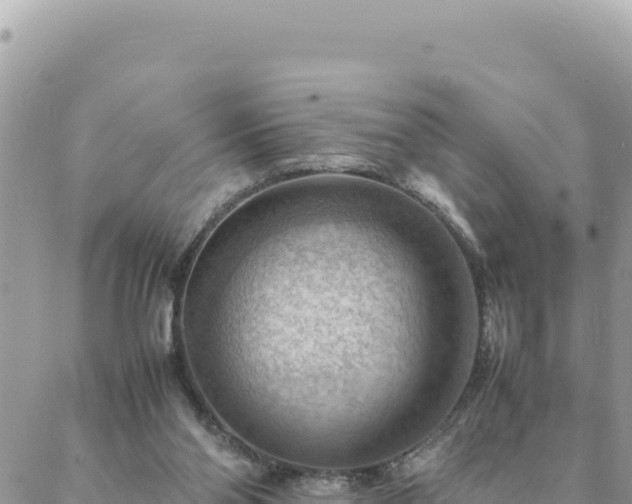 X0000088600110200706011212