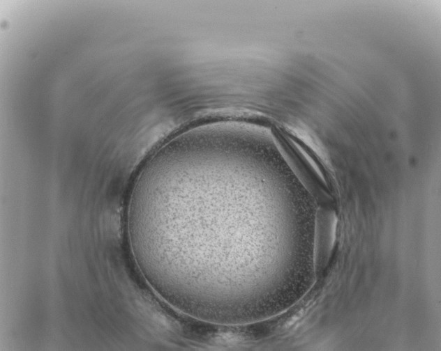 X0000088600111200706011212