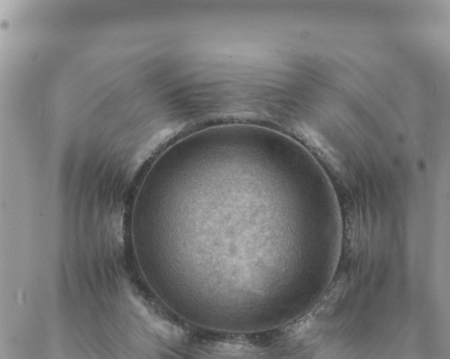 X0000088600112200706011212