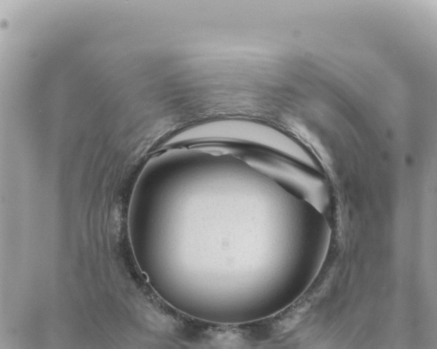 X0000088600113200706011212