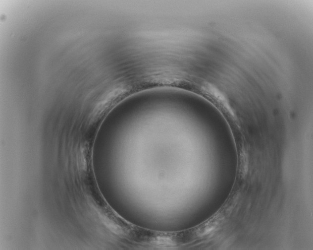 X0000088600114200706011212