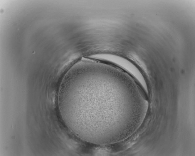 X0000088600115200706011212