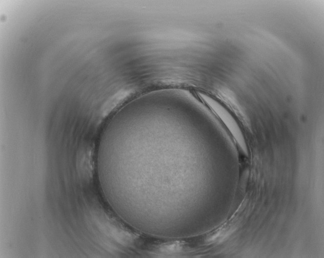 X0000088600116200706011212