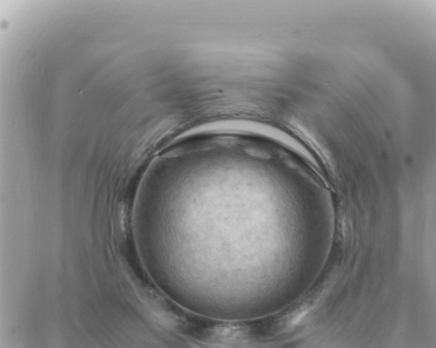 X0000088600117200706011212