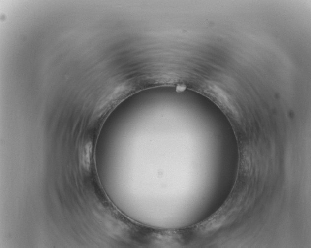 X0000088600118200706011212