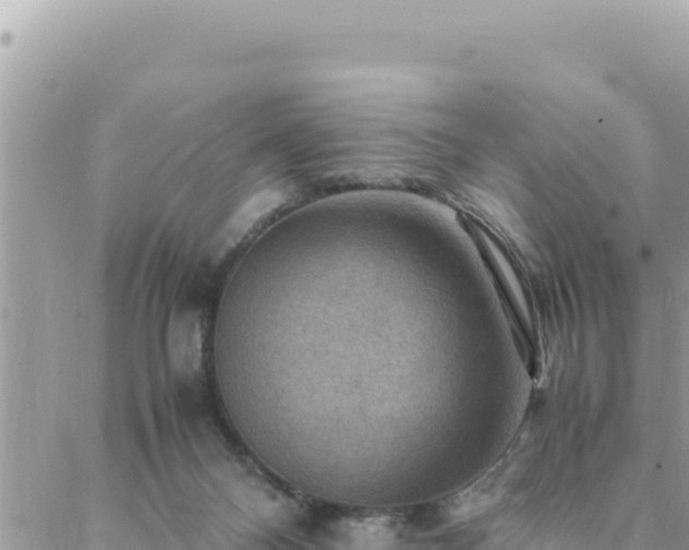 X0000088600120200706011212