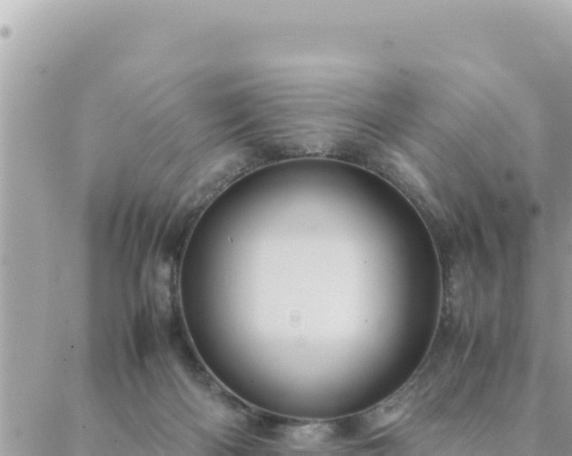 X0000088600122200706011212