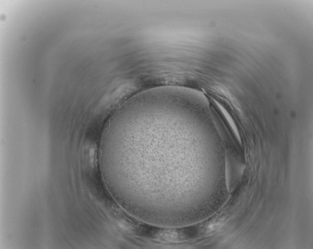 X0000088600123200706011212