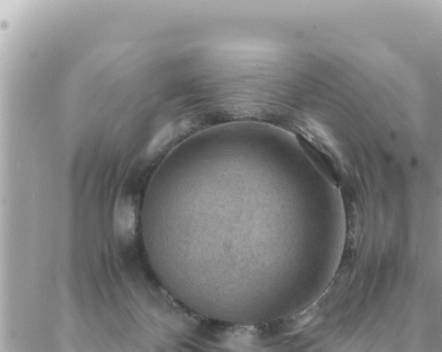 X0000088600124200706011212