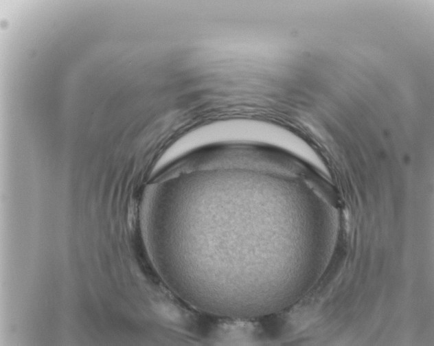 X0000088600125200706011212