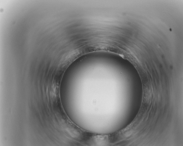 X0000088600126200706011212