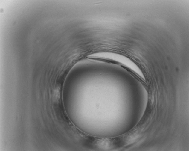 X0000088600127200706011212