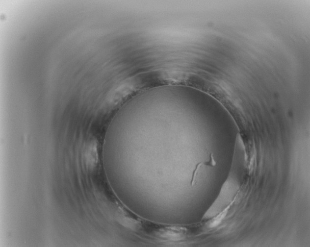 X0000088600128200706011212