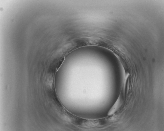 X0000088600129200706011212