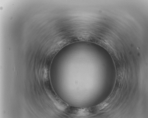 X0000088600130200706011212