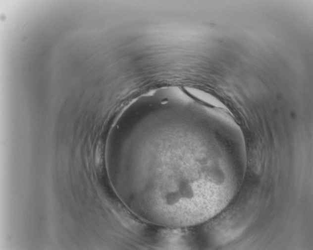 X0000088600131200706011212