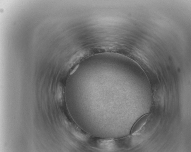 X0000088600132200706011212