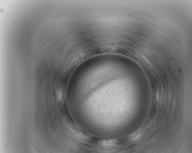 X0000088600134200706011212