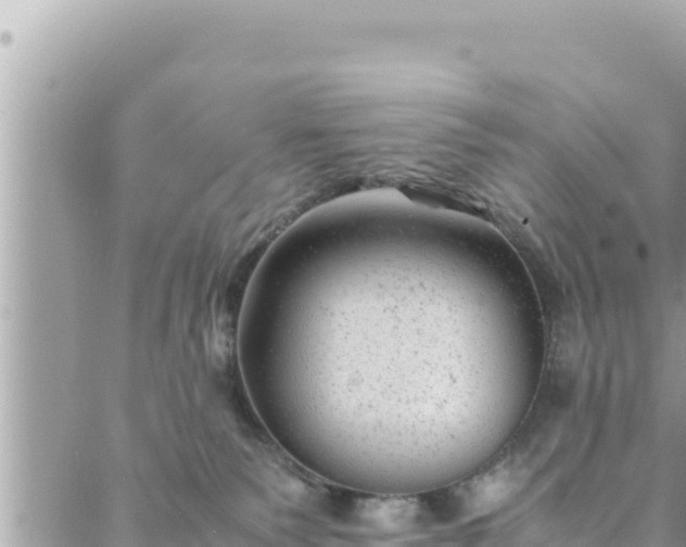 X0000088600135200706011212