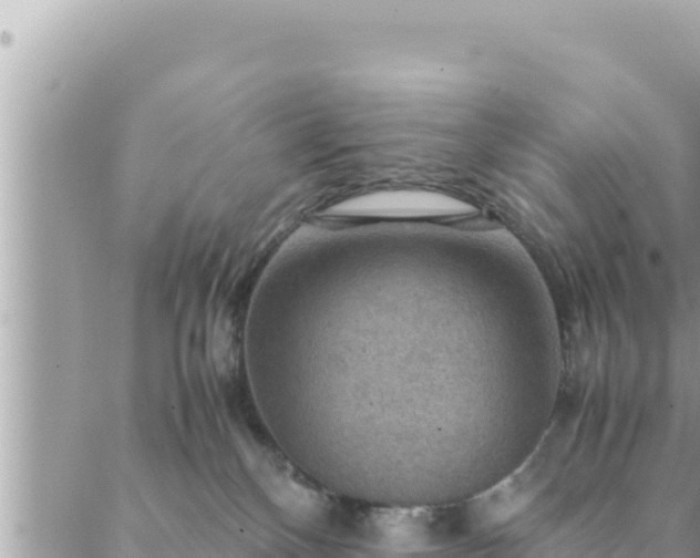 X0000088600136200706011212