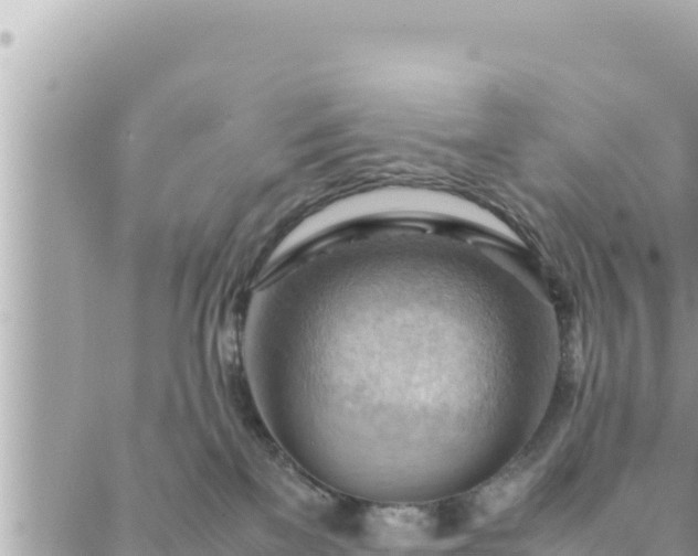 X0000088600137200706011212