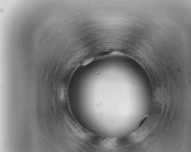 X0000088600138200706011212