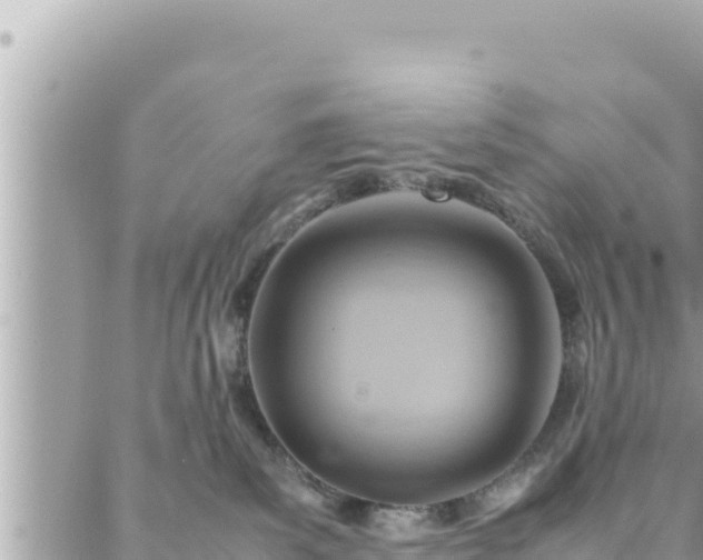 X0000088600139200706011212