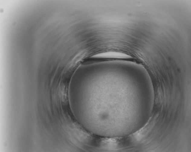 X0000088600140200706011212