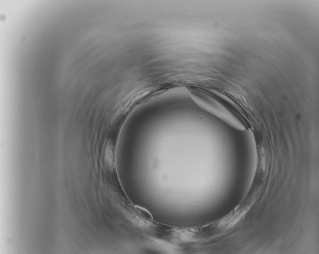 X0000088600143200706011212